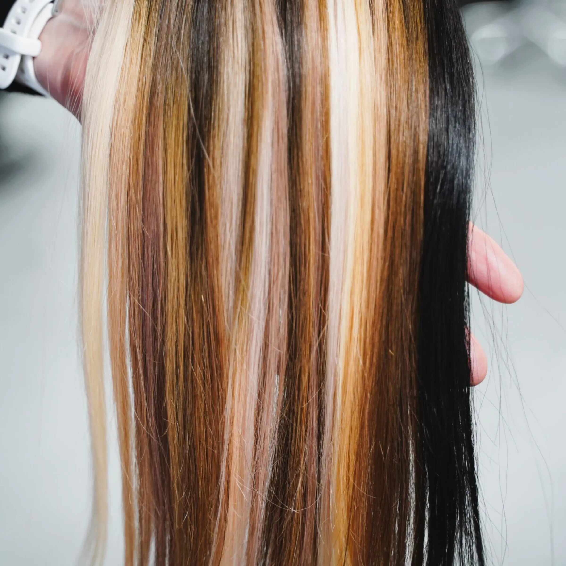 fusion-extensions