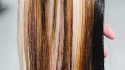 extensions
